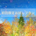 お試しプラン